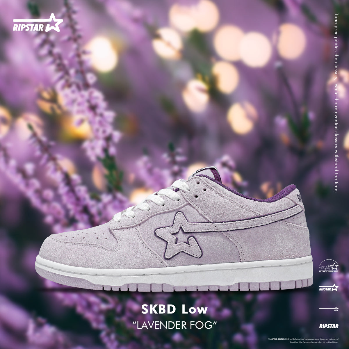 SKBD Dunk Low Sneakers - Lavender Fog