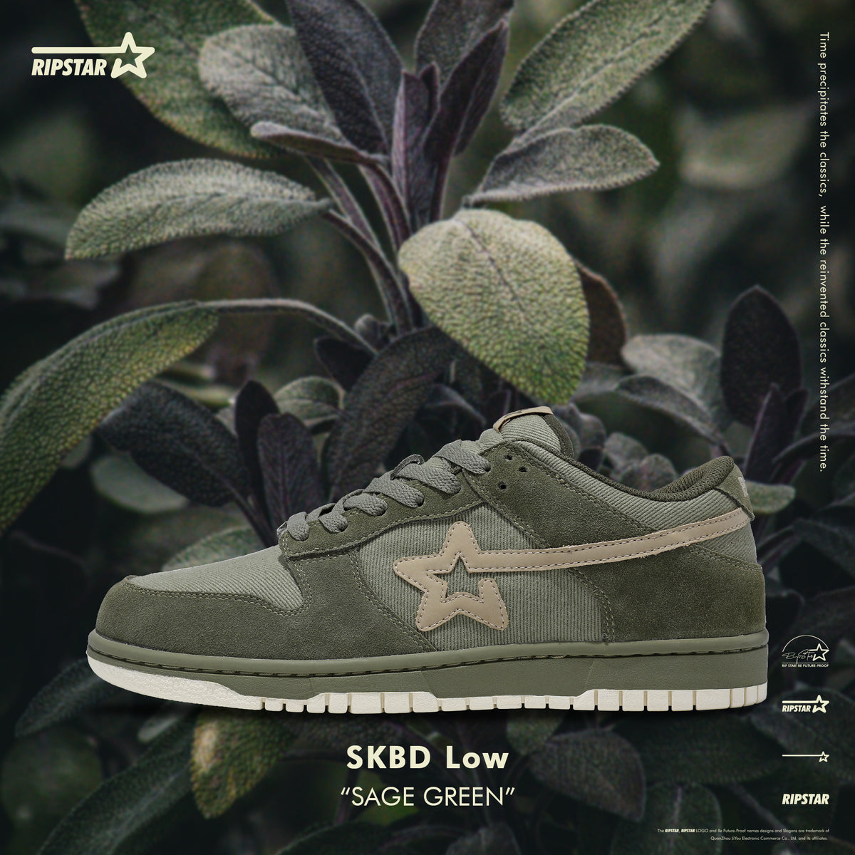SKBD Low Sneakers-Sage Green